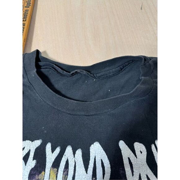 Pantera Far Beyond Driven 1994 L 90s Single Stitch Vtg Hanes Winterland - Picture 6 of 8